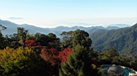 DSC00156.JPG