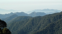DSC00158.JPG