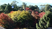 DSC00159.JPG