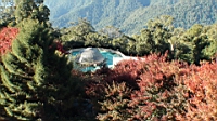 DSC00160.JPG