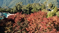 DSC00161.JPG