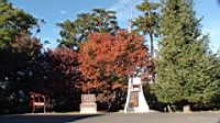 DSC00162.JPG
