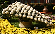 IMG_0821.JPG