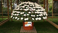 IMG_0837.JPG