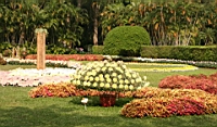 IMG_0858.JPG