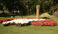 IMG_0867.JPG