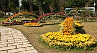 IMG_0882.JPG