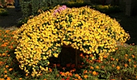 IMG_0883.JPG