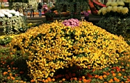 IMG_0884.JPG