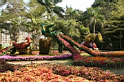 IMG_0886.JPG