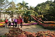 IMG_0891.JPG