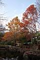 IMG_0986.JPG