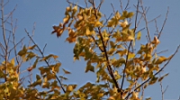 IMG_0999.JPG