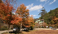 IMG_1062.JPG