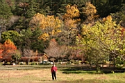 IMG_1063.JPG