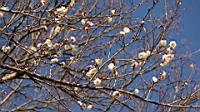 IMG_1067.JPG