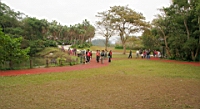 IMG_1172.JPG