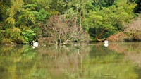 IMG_1179.JPG