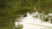 IMG_1180.JPG