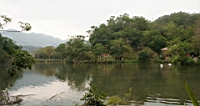 IMG_1185.JPG
