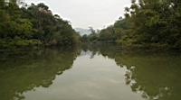 IMG_1186.JPG