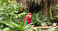 IMG_1191.JPG