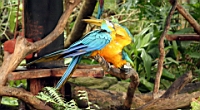 IMG_1192.JPG