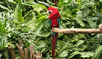 IMG_1193.JPG