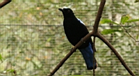 IMG_1237.JPG
