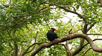 IMG_1239.JPG