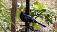 IMG_1241.JPG
