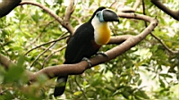 IMG_1250.JPG