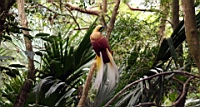 IMG_1256.JPG