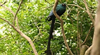 IMG_1259.JPG