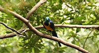 IMG_1262.JPG