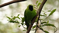 IMG_1266.JPG