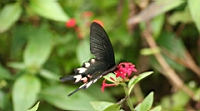 IMG_1269.JPG