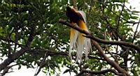 IMG_1276.JPG