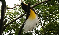 IMG_1277.JPG