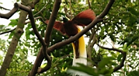 IMG_1278.JPG