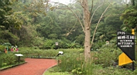 IMG_1279.JPG
