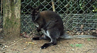 IMG_1289.JPG