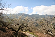 IMG_1322.JPG