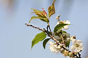 IMG_1328.JPG