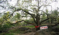 IMG_1363.JPG