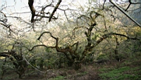 IMG_1364.JPG