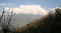 IMG_1366.JPG