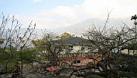 IMG_1377.JPG