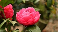 IMG_1858.JPG