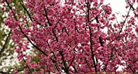IMG_1928.jpg